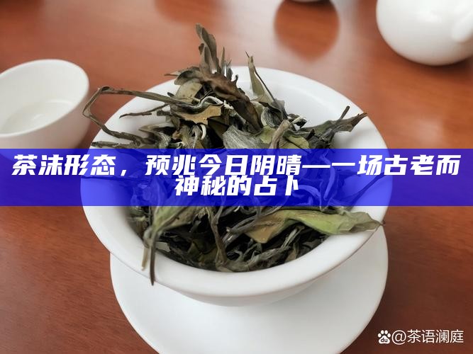 茶沫形态,预兆今日阴晴—一场古老而神秘的占卜